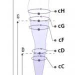 Diagram przedstawia tabelę rozmiarów dla różnych obwodów uda i łydki, oznaczonych literami od cB do cH.
