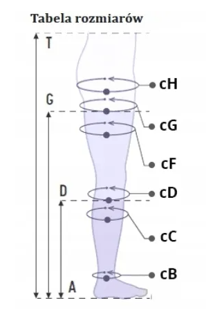 Diagram przedstawia tabelę rozmiarów dla różnych obwodów uda i łydki, oznaczonych literami od cB do cH.
