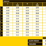 Tabela rozmiarów odzieży z wymiarami w centymetrach dla różnych modeli i długości, z podziałem na krótkie i długie.
