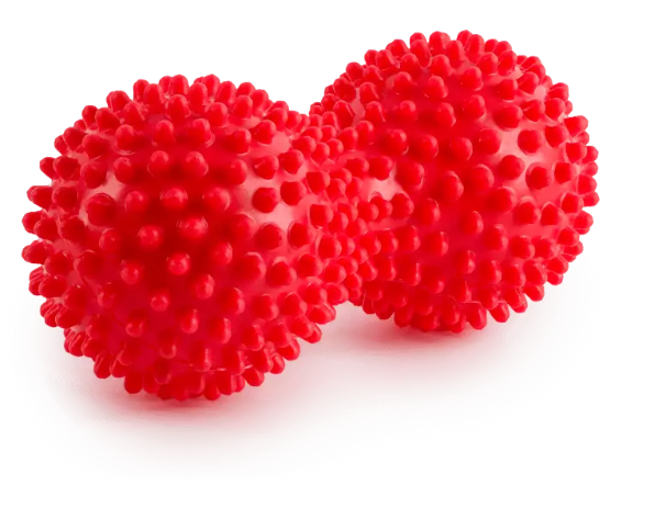 Dwa czerwone, kuliste przedmioty pokryte licznymi wypustkami, przypominające piłki z kolcami.